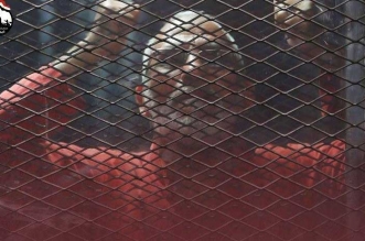 مرشدنا الصامد